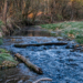 Woodland stream flowing around fallen branches and stones, symbolising pressure building before water breaks through.