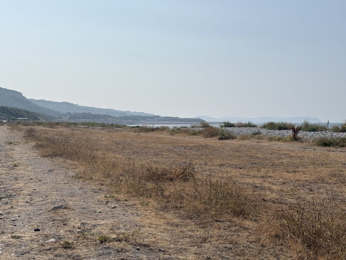 Dry, sun-scorched grassland along the North Wales coast, with the sea and hazy hills in the distance.