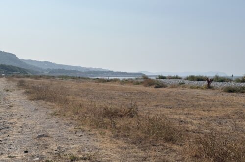 Dry, sun-scorched grassland along the North Wales coast, with the sea and hazy hills in the distance.