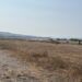 Dry, sun-scorched grassland along the North Wales coast, with the sea and hazy hills in the distance.